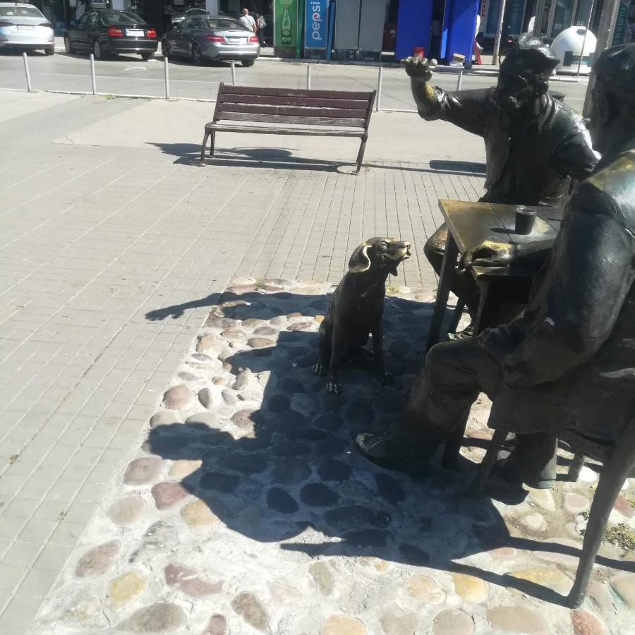NiSuvi Centar公寓 外观 照片